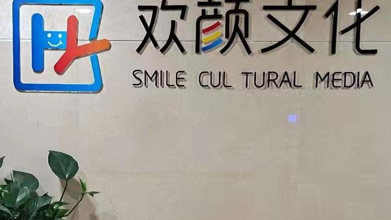 根据以上关键因素，以下是国内会议策划公司排名前十的简要分析：